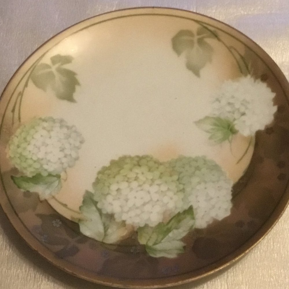 Antique R.S. Germany hand-painted porcelain plate - Picture 2 of 8